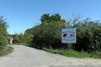 AMICALE VOURLOISE D'EDUCATION CANINE, Dresseur de Chiens à Vourles
