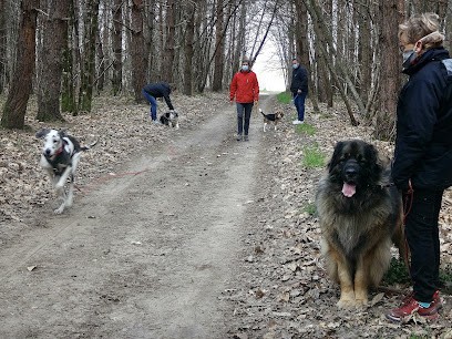 Coach And Dog, Dresseur de Chiens à Valravillon