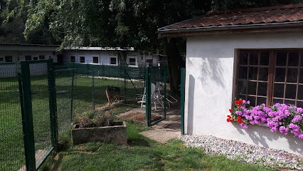 La montée étoilée, Pension pour Chiens à Delle