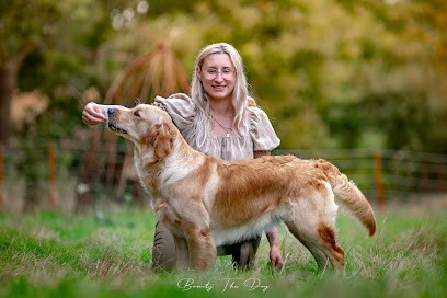 Du Domaine d'Hyrule, Eleveur de Chiens à Scillé