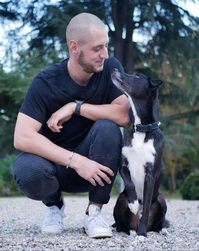 Maître Doggy - Educateur Canin - Comportementaliste Canin - Dresseur Pour Chien à Domicile Dans Le 82, Dresseur de Chiens à Montauban
