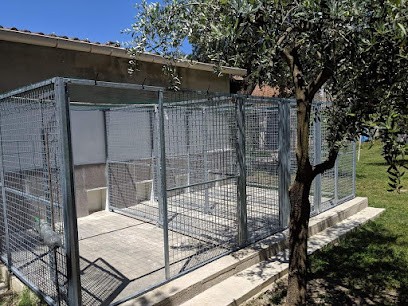 Pension Canine Eyragues, Pension pour Chiens à Eyragues