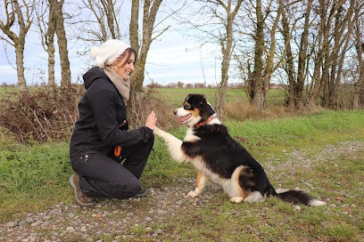 Dog's Angel, Dresseur de Chiens à Villeneuve