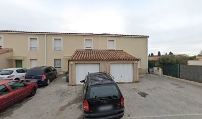 OF GOLD FOREVER - Elevage de Golden Retriever, Eleveur de Chiens à Caissargues