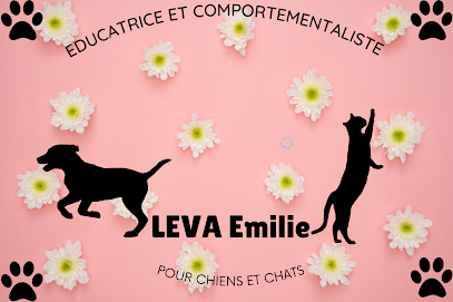 Félix Félicis - Éducatrice Comportementaliste Canin Et Felin Dresseur De Chiens à Annœullin