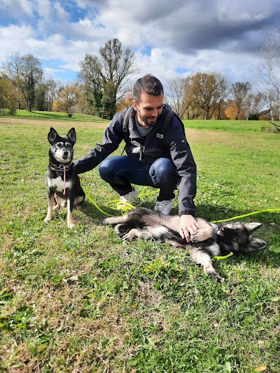 Syrah Éducation Canine-François Serre, Dresseur de Chiens à Savigny
