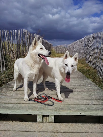 La Vallée des Elfes Blancs, Eleveur de Chiens à Cirières
