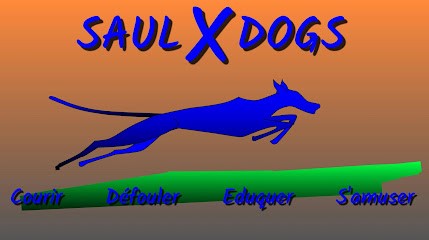 SAULXDOGS, Dresseur de Chiens à Trémont-sur-Saulx