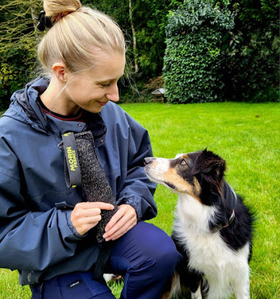 Chez Les Truffes - Educateur Comportementaliste Canin - Garde De Chiens - Produit Pour Chiens En Direct, Dresseur De Chiens à Deûlémont