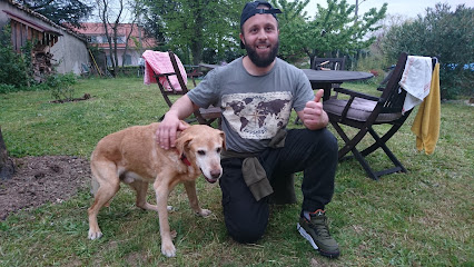 L'ami Des Chiens Dresseur De Chiens à Cannes