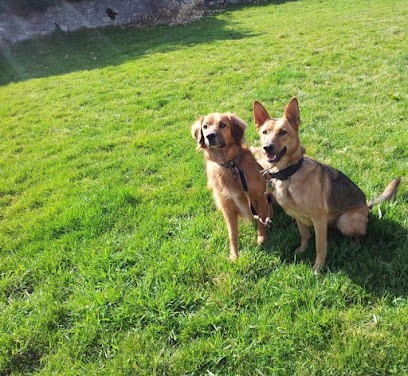 Vesma Cabaka - Educateur Canin Bienveillance, Dresseur de Chiens à Vaux-en-Bugey