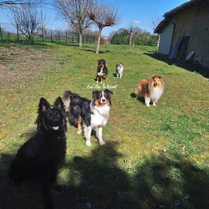Can'Ain & Minet, Pension pour Chiens à Montracol