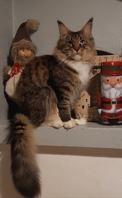 DES LYNX DU JURA, Eleveur de Chiens à Germéfontaine