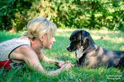 Mieux Le Comprendre, Dresseur de Chiens à Molsheim