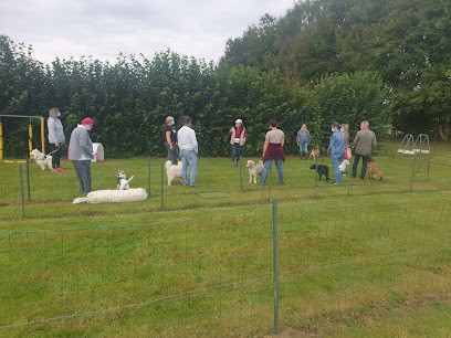 Ecole Canine Sportive de Messei, Dresseur de Chiens à Messei