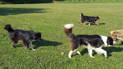 Domaine de joberty, Eleveur de Chiens à Montaut
