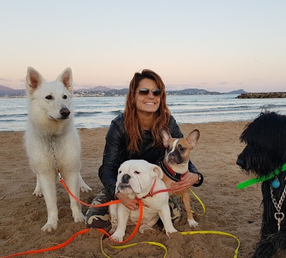 MY DOG'S Pension animalière Draguignan, Pension pour Chiens à Draguignan