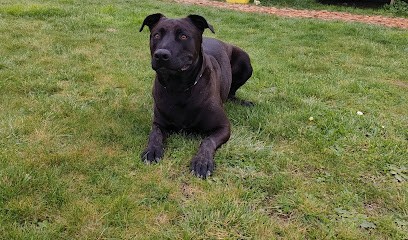 Croc Blanc (Lucas BLANC) - Educateur/Rééducateur Comportementaliste Canin, Dresseur de Chiens à Savignac-Lédrier