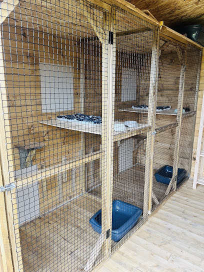 Chez Funny & Compagnie, Pension Pour Chien à Germigny-sur-Loire