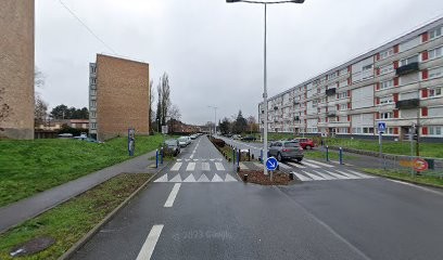 PRINCEPS, Eleveur de Chiens à Saint-Saulve