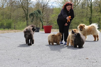 Du Haras Des Grosses Patouns, Eleveur de Chiens à Ramouzens