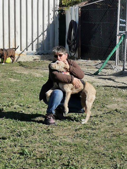 Dog Académie, Dresseur de Chiens à Tarascon