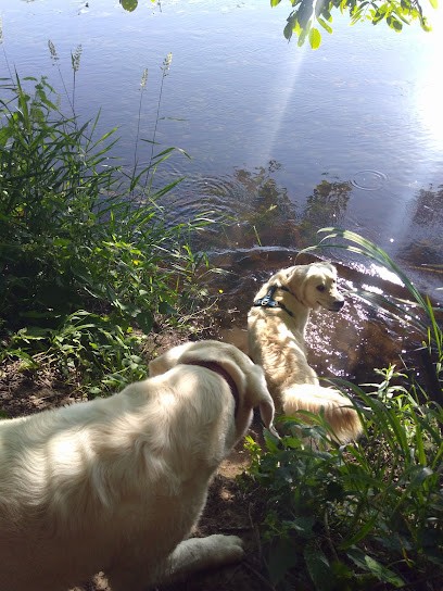 Cani sympa pension pour chiens, Pension pour Chiens à Liniers