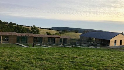 Pension Canine Et Féline Du Domaine De La Bourdillerie, Pension pour Chiens à Bona