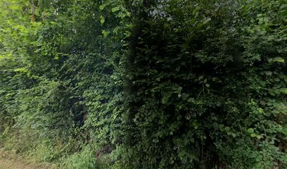 Elevage canin LE JARDIN DES MAHONIAS, Eleveur de Chiens à Saint-Firmin