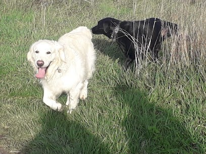 CaniLODGE, Pension pour Chiens à Noizay