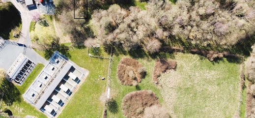 Les Étangs de Dame Blanche, Eleveur de Chiens à Auge