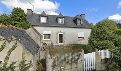 Breizhbubulls élevage de Bull Terrier Miniature, Eleveur de Chiens à Landebaëron