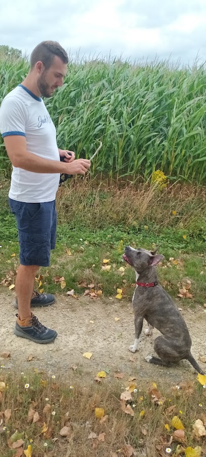 Cyno´flo, Dresseur De Chiens à Chauché