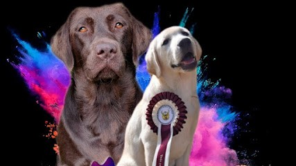 ELEVAGE DES FEES NORMANDES, Eleveur de Chiens à Manneville-la-Raoult