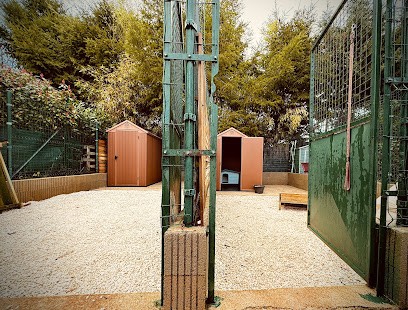 Pension Canine Du Gavaldan, Pension pour Chiens à Saint-Germain-du-Teil