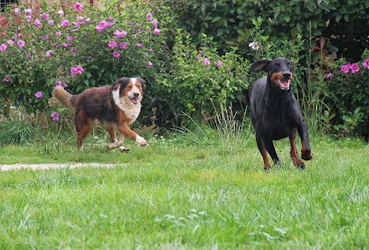 Auberge Canine Et Féline De La Double, Pension pour Chiens à La Roche-Chalais