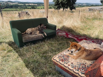 La canidienne, Pension pour Chiens à Dettey