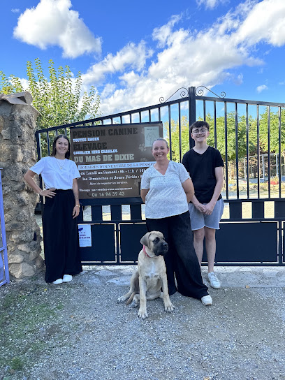 Pension Canine Élevage Du Mas De Dixie Pension Pour Chien à Murviel-lès-Béziers