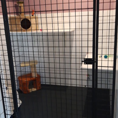 Pension Du Domaine Normand, Pension pour Chiens à Allouville-Bellefosse