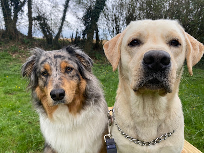 Cca Rillieux Vancia Dresseur De Chiens à Rillieux-la-Pape