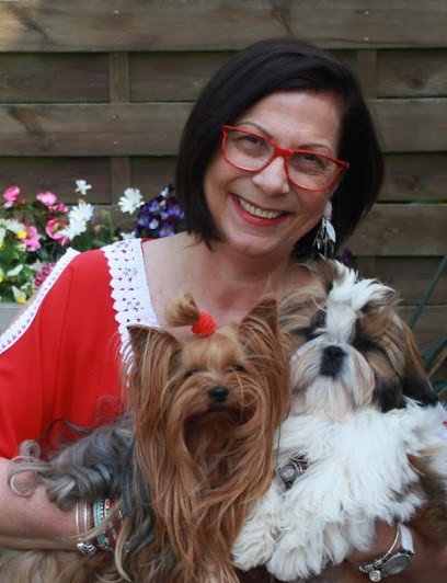 Shih Tzu and Yorkshire Eden Crystal, Eleveur de Chiens à Noyon