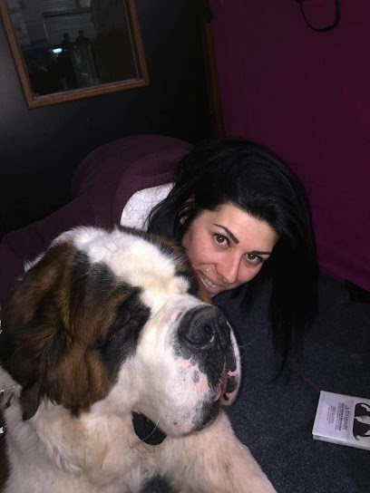 Pension Canine Familiale Du Repenti, Pension pour Chiens au Luc