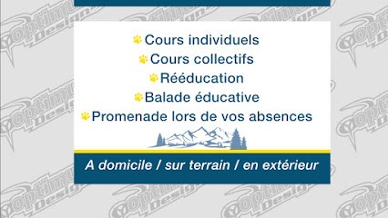 Osmoze Canin - éducation canine, Dresseur de Chiens à Rosans