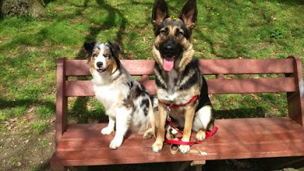 Animal's Sitting 44, Pension pour Chiens à Saint-Père-en-Retz