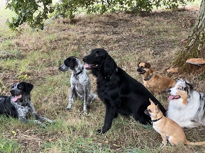 Gigi Et Les Good Dogs, Dresseur de Chiens à Pannecé
