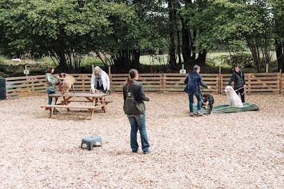 Cani'Laz - École D'éducation Canine Bienveillante, Dresseur de Chiens à Laz