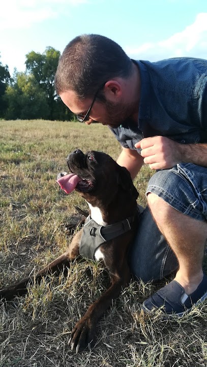 Atout Chiens éducateur Canin Comportementaliste En Méthode Positive Et éthologique, Dresseur de Chiens à Roanne