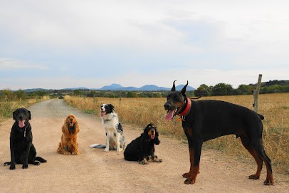 Le Songe d'Opaline, Pension pour Chiens à Charbonnières-les-Vieilles