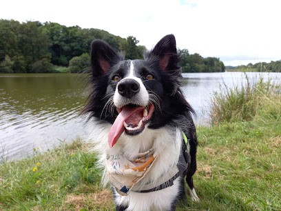 Canhicap, Dresseur de Chiens à Perrignier