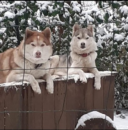 La Grande Vallée Blanche, Eleveur de Chiens à Condat